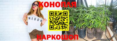 каннабис Сланцы